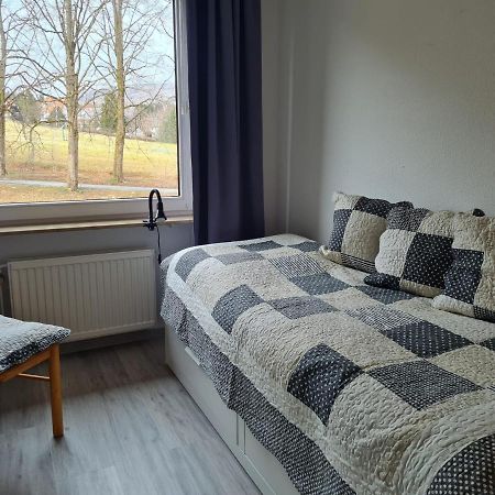 Grosse Wohnung - Kamin - Balkon - Boxspringbett - Skiwiese Braunlage Kültér fotó